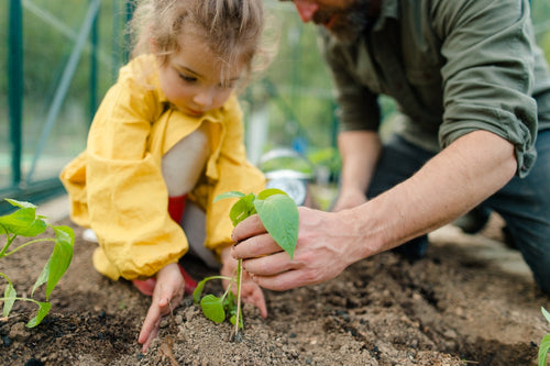 Cómo enseñar a los niños a cuidar el medio ambiente desde pequeños - Mustela Mexico - 1