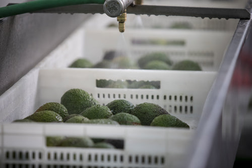 2023_MULTI_PURPOSE_BALM_V2_PERU_CAMPAIGN_PICTURES_FACTORY_18-min - Mustela Mexico - 1