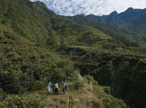 2023_MULTI_PURPOSE_BALM_V2_PERU_CAMPAIGN_PICTURES_HARVEST_47 - Mustela Mexico - 1