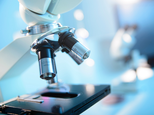 Mustela_Website_13 - Mustela Mexico - 1