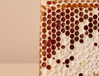 cire-abeille - Mustela Mexico - 1