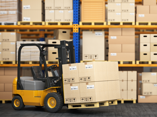 monta - Mustela Mexico - 1