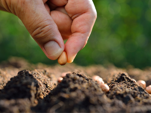 trazabilidad - Mustela Mexico - 1