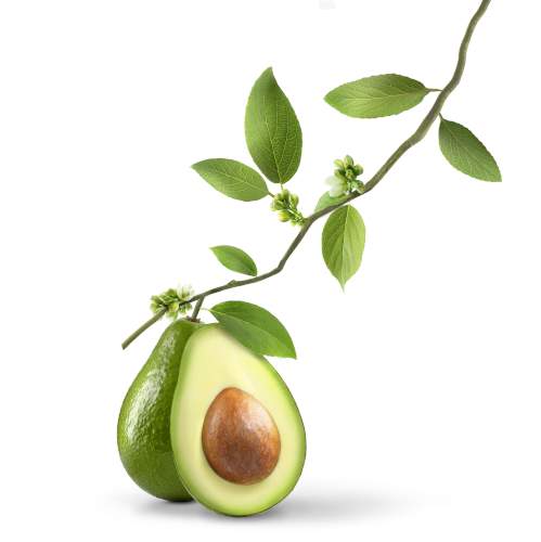 mustela_ingredientes_aguacate