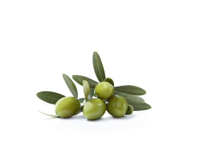 mustela_ingredientes_oliva